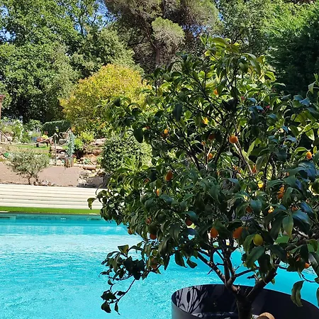 Villa Douceur Du Sud , Privee Avec Piscine Et Jeux De Cafe Saint-André-d'Olérargues